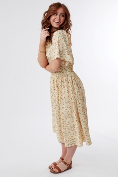 Yoke Top Raglan Sleeve Dress